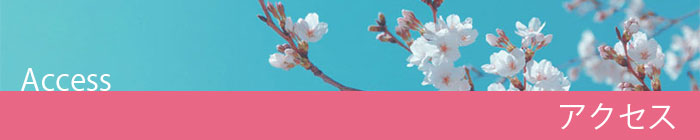 アクセス