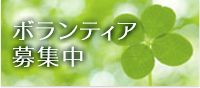 ボランティア募集
